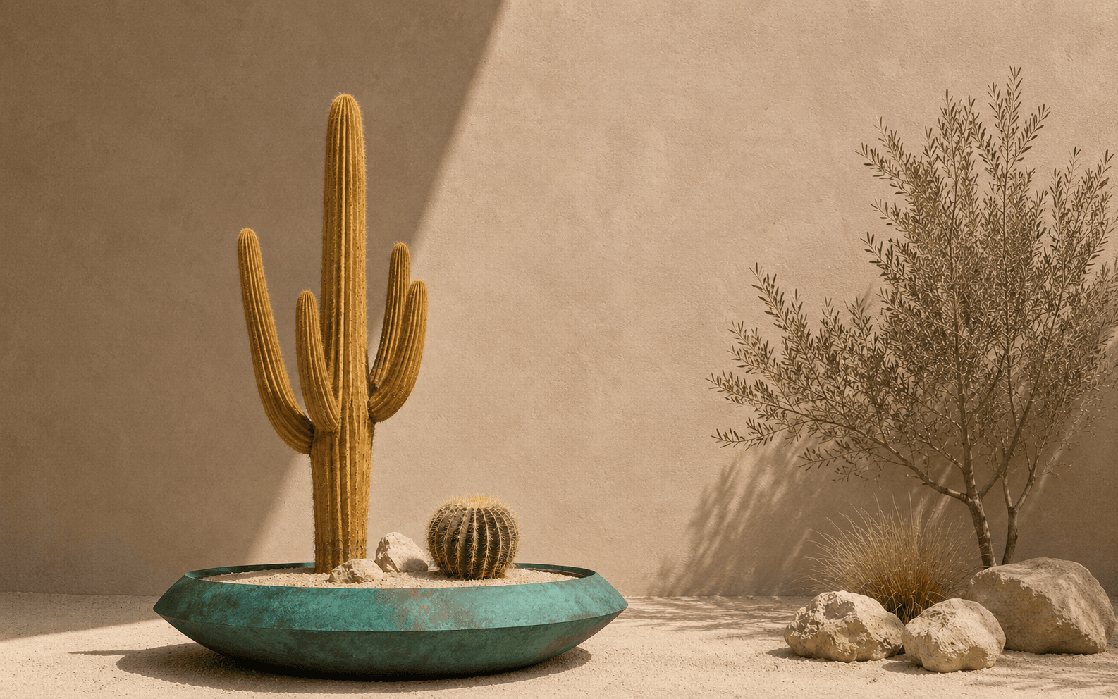 Desert Oasis